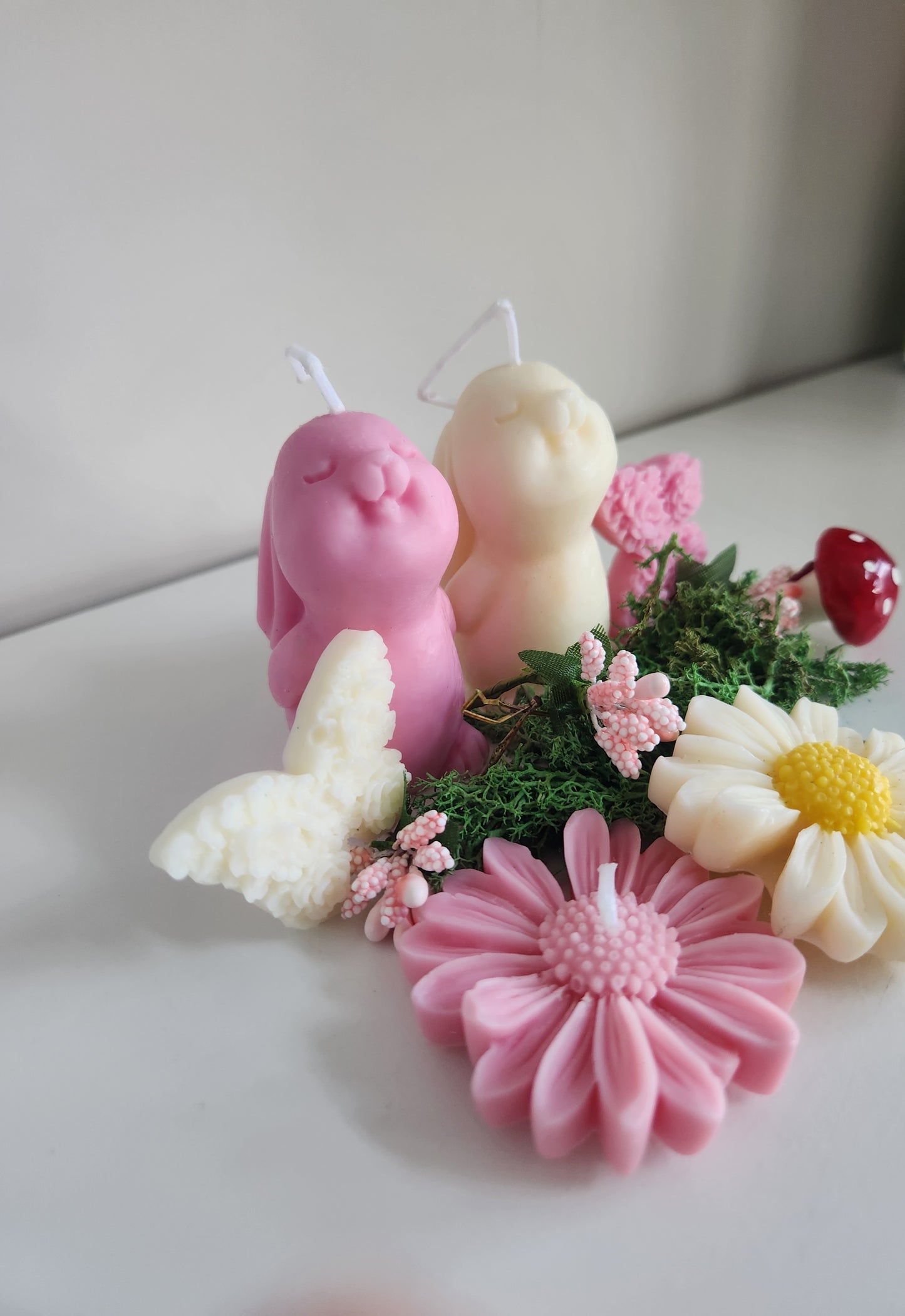 Lot de 2 petits lapins mignons