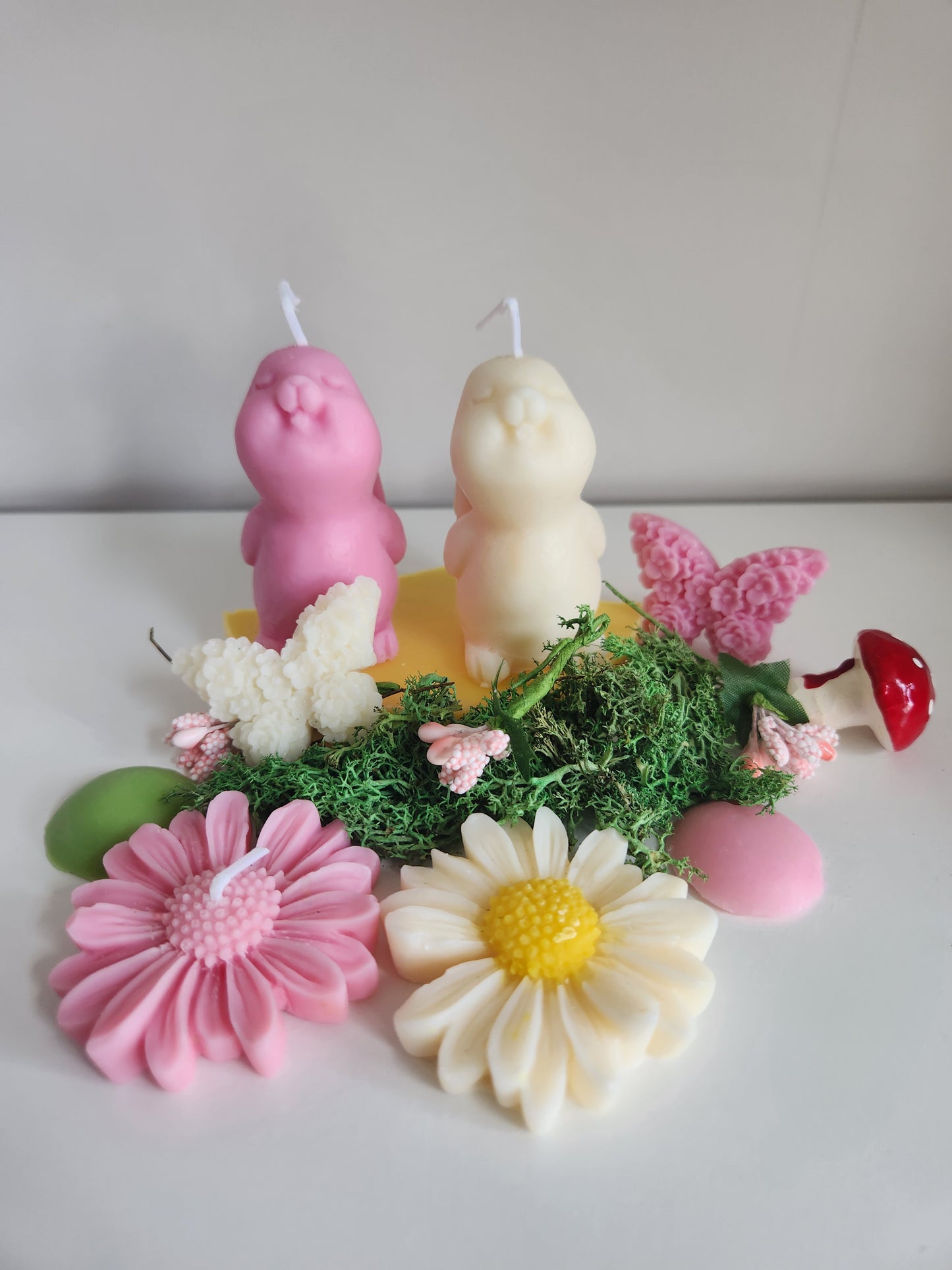 Lot de 2 petits lapins mignons