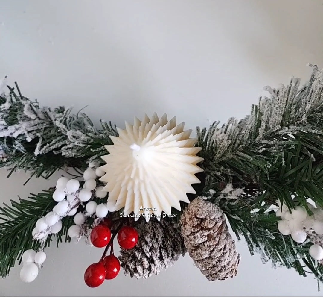 Sapin élégant  (Édition limitée)