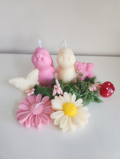 Lot de 2 petits lapins mignons